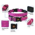 thumbnail image 4 of Vibrant Pet Collar - High Stability and Decorating - Bright Colors - Collars for Small Dogs and Kittens, 4 of 8