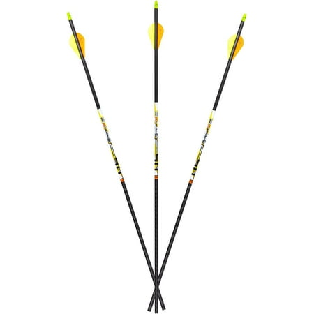 Carbon Express D-Stroyer SD 400 Spine 6-Pack of Fletched Arrows Available in 350 & 400 Spine