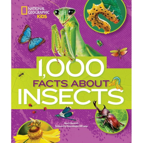 Pre-Owned 1,000 Facts about Insects (Hardcover) 1426329938 9781426329937