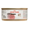 Royal Canin Feline Health Nutrition Adult Instinctive Loaf in Sauce Wet Cat Food, 5.8 Oz. Can (24 Pack)