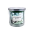 thumbnail image 1 of Design Imports Z01476 3 Mèche Arbre à Feuilles Persistantes Bougie Parfumée, 1 of 1