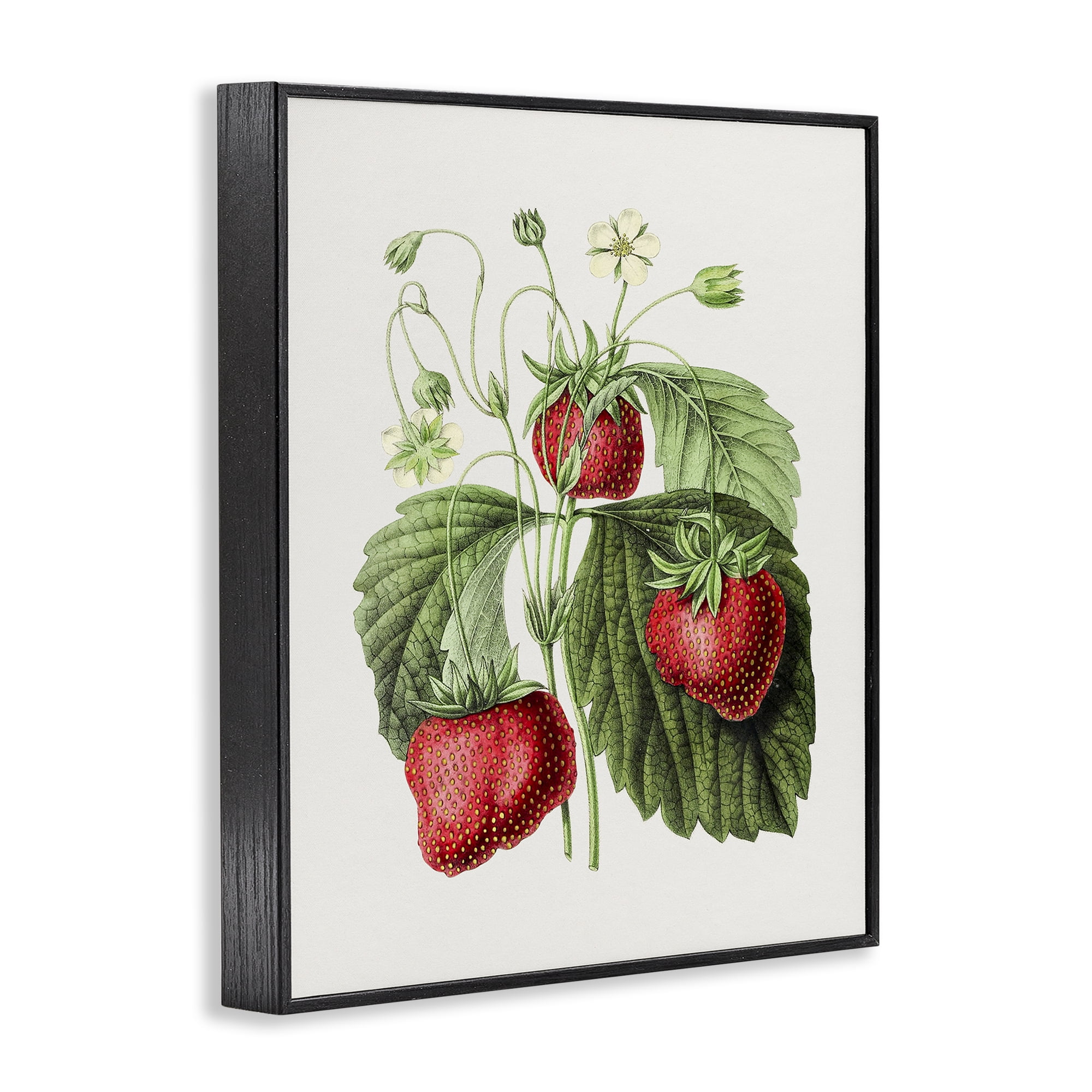 Stupell Industries Vintage Strawberries Study Food & Beverage Painting Black Framed Art Print Wall Art, 24 x 30