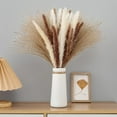 thumbnail image 6 of GRNSHTS 60Pcs Nature Dried Pampas Grass Decor Tall Pompous Grass,White Pampas Grass Vase Flower Arrangement,Dried Flower Bouquet Wedding Home Decorations, 6 of 7