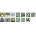 thumbnail image 2 of Liquidation! Calendrier 2024 d'Oiseaux Calendrier Mural Extrêmement Précis, 2 of 9