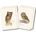 thumbnail image 2 of Owl Notecard Assortment II, 2 of 2