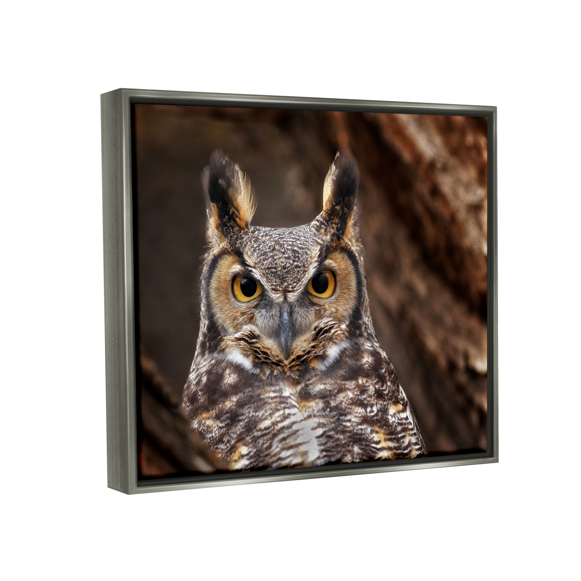 Stupell Industries Horned Owl Nature Photography Animals & Insects Photography Gray Floater Framed Art Print Wall Art