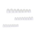 thumbnail image 1 of SYS Simple Cat Eye Nail Border Wearing Female Female And Girl Nail Decoration1ml, 1 of 1
