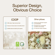 Coop Sleep Goods Memory Foam Kids Pillow with Grey Pillow Protector
