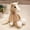 A25 christmas decorations under 5$, variant on Plush Horse Toy under $5! Xqxayjr Simulation Running Pony Plush Toy, Chinese Zodiac Horse Year Mascot Doll, Soft Stuffed Animal for Kids, Collectors, and Birthday Gift