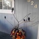 thumbnail image 4 of 6PCS/Set Black Crow Ornament, Plastic Desktop Decoration For Gifts Party Decor, 4 of 7