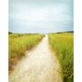 thumbnail image 2 of Ryan, Brooke T. 12x14 White Modern Wood Framed Museum Art Print Titled - Beach Trail, 2 of 4