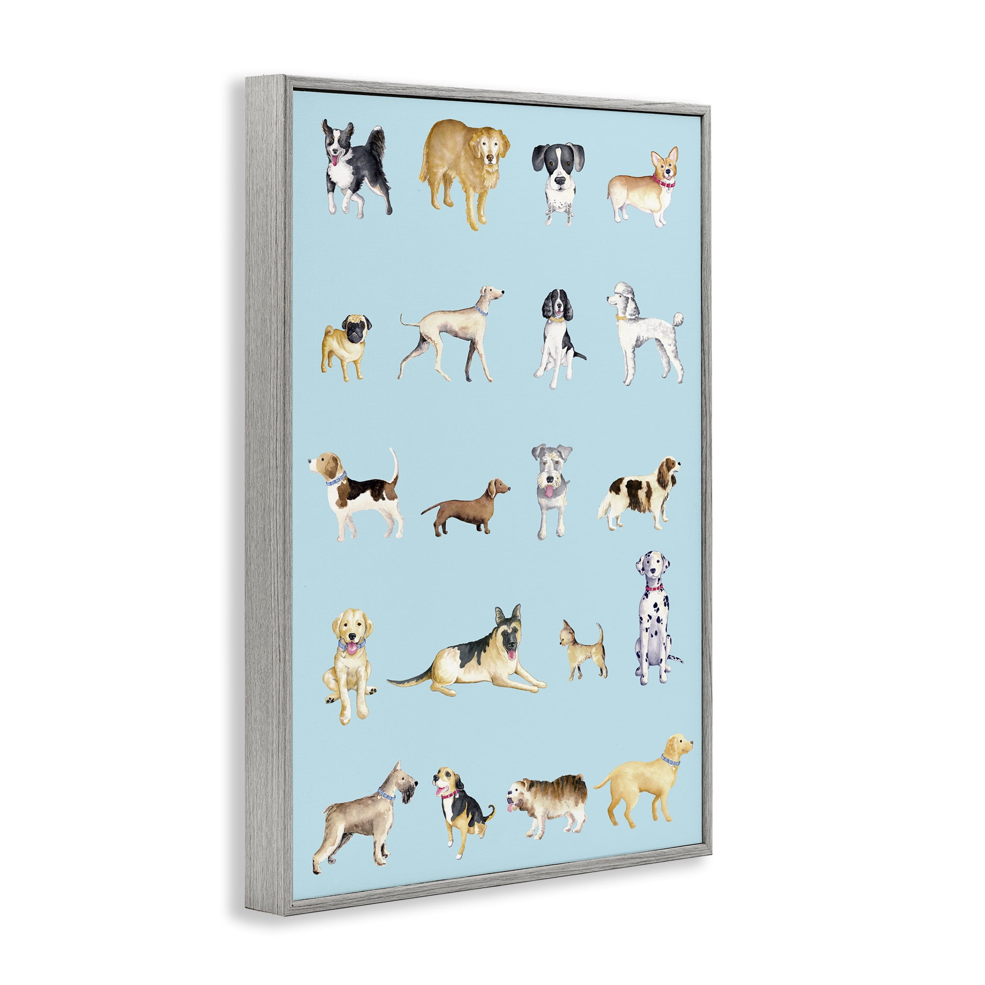 Stupell Industries Dog Breeds on Blue Gray Framed Giclee Art, design by Andi Metz