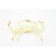 thumbnail image 5 of Crab, Spider Crab, Museum Quality, Hand Painted, Rubber Crustaceans, Realistic Toy Figure, Model, Replica, Kids, Educational, Gift, 7" CH271 BB124, 5 of 7