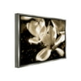 thumbnail image 4 of Stupell Industries Plant Petals in Nature Botanical & Floral Photography Gray Floater Framed Canvas Art Print Wall Art, 31 x 25, 4 of 10