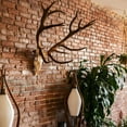 thumbnail image 7 of European Mount Skull Hangers Deer Skull Mount Hanger for Indoor Outdoor Deco, Hanging Deer Mule Antelope Coyote and Small Game Animals 3Pcs, 7 of 7