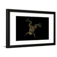 thumbnail image 1 of Xenopus Fraseri Frasers Clawed Frog Framed Print Wall Art by Paul Starosta Sold by Art.Com, 1 of 5