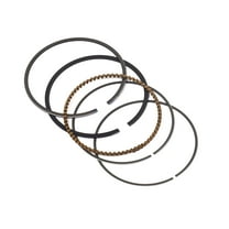 Briggs & Stratton Ring Set | 843793