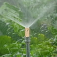 thumbnail image 3 of Brass Threaded 10Pcs Fog Mist Nozzles Misting Spray Sprinkler Head, 3 of 8