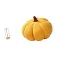 thumbnail image 6 of Dualoai Reusable Transparent Straw Organizer and Holder for Counter Makeup Brushes Bar with Halloween Pumpkin Plush Decorative Sofa Cushion for Bed Bedroom Room Decor, 6 of 8
