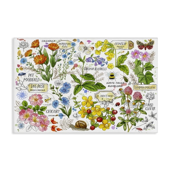 Stupell Industries French Country Various Herbs Benefits Canvas Art, 24 x 16, by Jane Maday