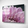 thumbnail image 2 of Epic Art 'A Fresh Start' by Lori Deiter, Acrylic Glass Wall Art, 16"x12", 2 of 3