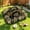 5 in 1 Haven(11.8"W), variant on 7 in1 Maze(9.8"W) Pet Playpen Portable Pop Up Playground for Small Cats