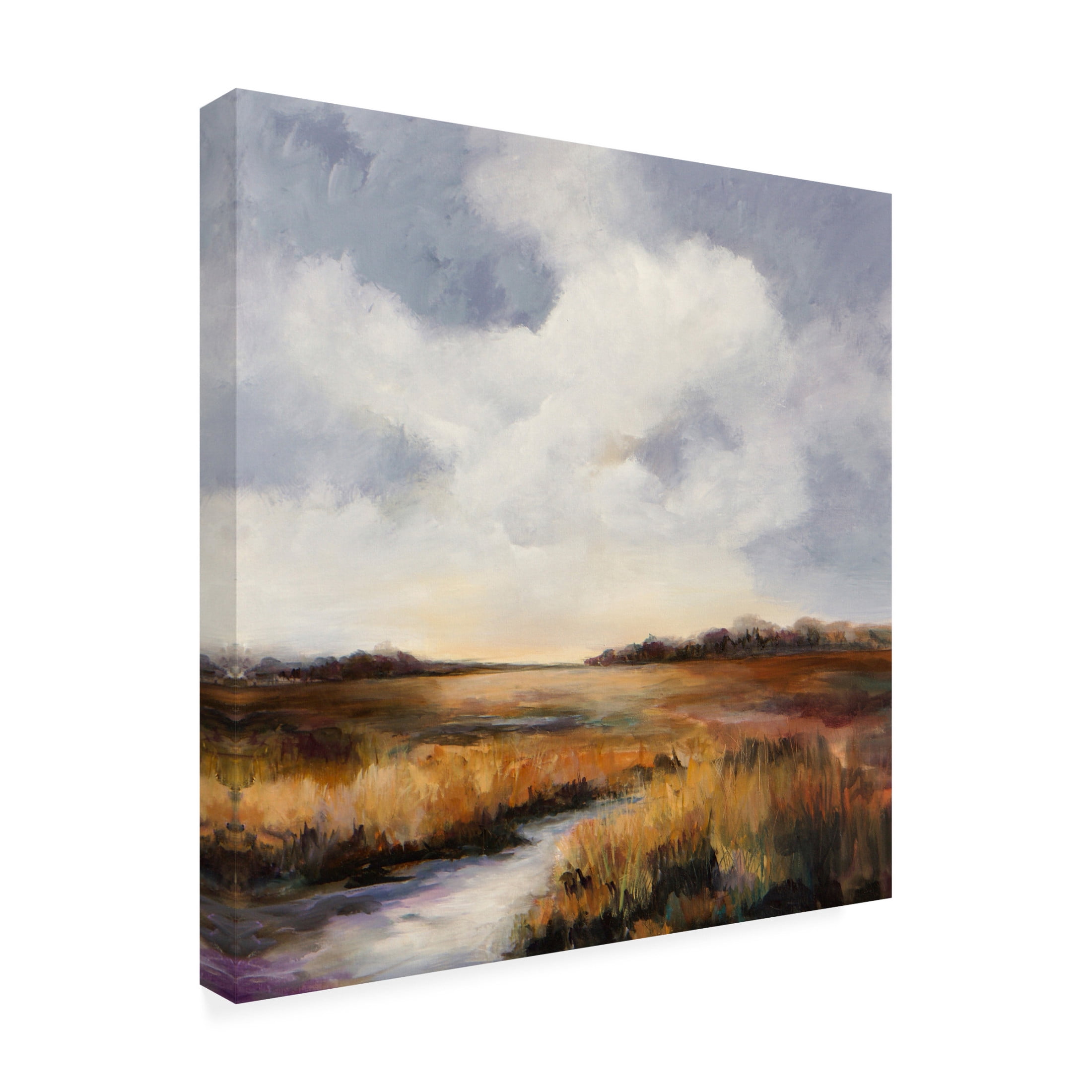 Canvas Wall Art - Karen Hale 'Amber Morn' Wall Art for Living Room, Bedroom, or Office Décor by Trademark Fine Art - 35 x 35 Inches