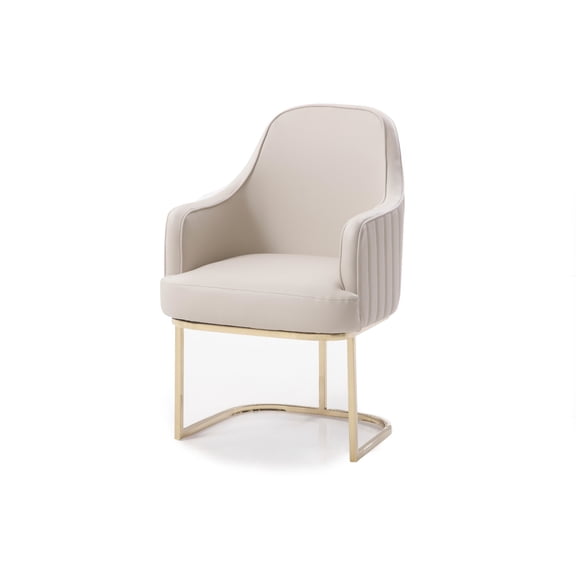 Modrest Tyler - Modern Grey   Gold Dining Chair
