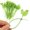 50pcs, variant on JUANCHENG Plant Style Nylon Cable Ties Leaves Shape Self Locking Wire Ties 100 pcs