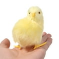 thumbnail image 2 of Mini Scene Model Home Decoration Easter Plush Chick Simulation Furry Chicken Lifelike Bird Kids Toy TYPE 1, 2 of 8