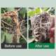 thumbnail image 3 of Rooting Hormone For Cuttings,plant Growth Enhancer Supplement,root Growth Rooting Hormone For Plant Cuttings,promotes Rooting, 3 of 5
