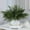 Green, variant on Artificial Norfolk Pine Picks Branches, 5.7*17.7 inch Green Plants Pine Needles, Christmas Greenery Stems, Fake Greenery Pines Picks for Garland Wreath Vases & DIY Indoor/Outdoor Decoration