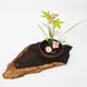 thumbnail image 5 of Porta alfileres florales con forma de rana de flores, base de flores cortadas, redondas, cuadradas y rectangulares. 2 2.6cm acero redondo, 5 of 7