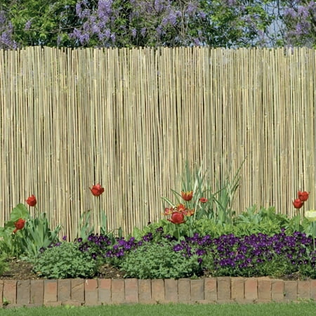 Reed Fencing