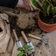 thumbnail image 1 of KAKOWELY 10Ud Para Macetas De Plantas Con Protección Derrames Y Daños En Superficies, 1 of 6