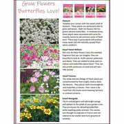 Toys By Nature: Bountiful Butterfly Garden - DIY Biosphere Terrarium Starter Kit, Grow Sweet Flowers, Decorate An Insect Plant Habitat, Adults-Kids 4+