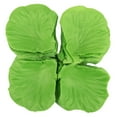 thumbnail image 3 of Lefu 1000x SILK ROSE PETALS FLOWER TABLE DECORATION CONFETTI WEDDING ENGAGEMENT PARTY, 3 of 9