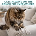 thumbnail image 6 of Cat Repellent Outdoor, Cat Deterrent Balls, Natural Cat Repellent Indoor, Keep Cats Scratch Away from Furniture, Keep Cats Off Yard Garden Lawn Plants, 12Pack, 6 of 9