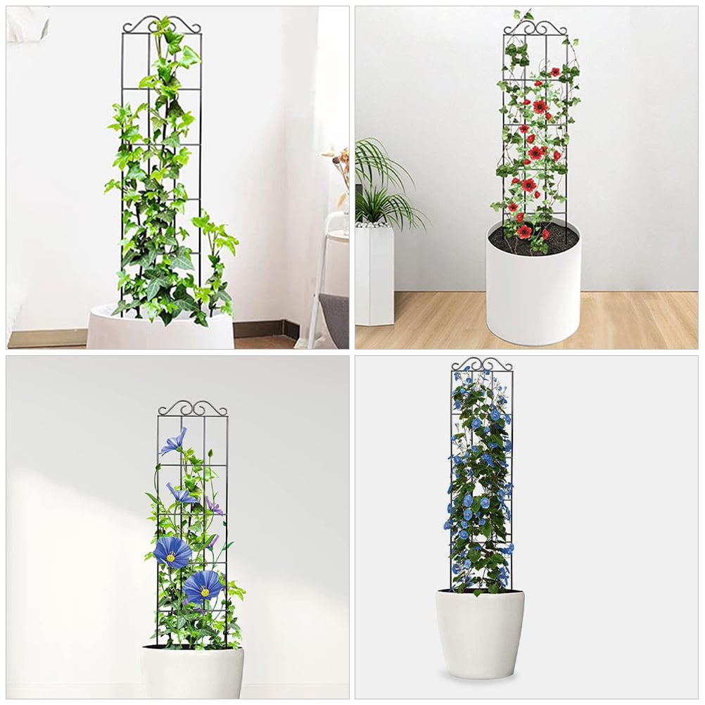 Raindrops 4pcs Metal Plant Climbing Frame Garden Trellis Support Plant Support Stake For Vines And Potted Plants For Indoor And Outdoor Plant Support