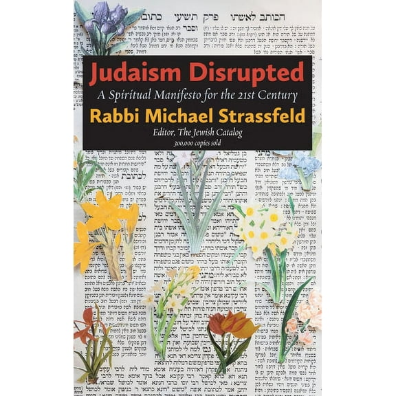 Judaism Disrupted: A Spiritual Manifesto for the 21st Century (Hardcover)