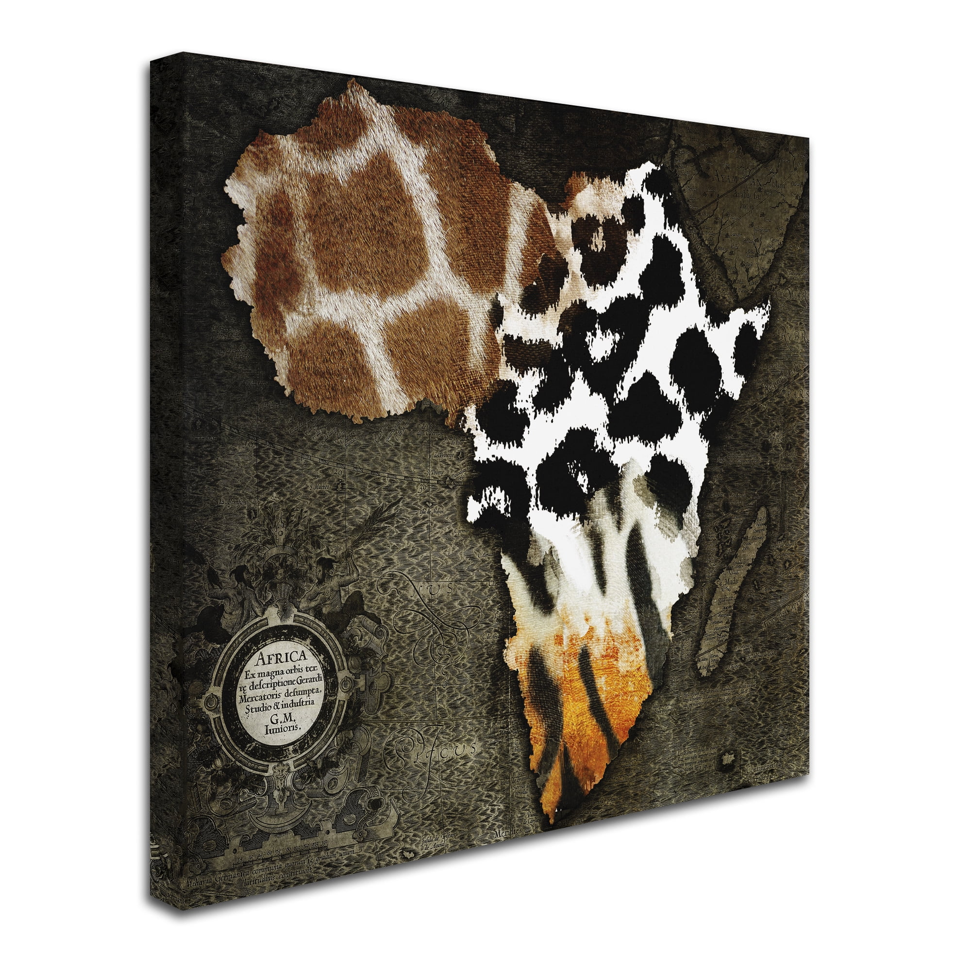 Trademark Fine Art 35x35 Maps Canvas Wall Art 'Animal Map Of Africa' by Color Bakery