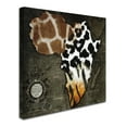 thumbnail image 2 of Trademark Fine Art 35x35 Maps Canvas Wall Art 'Animal Map Of Africa' by Color Bakery, 2 of 4