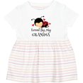 thumbnail image 3 of Inktastic Loved by Grandma Ladybug Girls Baby Dress, 3 of 5