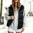 thumbnail image 2 of DYTTDG Women's Solid Color Stand Collar Puffer Vest, Full Zipper Sleeveless Outerwear With Side Pockets, Lightweight Casual Quilted Gilet for Fall Winter Daily Wear, 2 of 8
