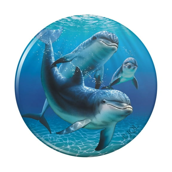 Dolphin Pals Ocean Diving Pinback Button Pin