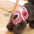 thumbnail image 5 of Pañal lavable para perra Red Stripe - 1 pieza, pantalón reutilizable para perra, pantalón higiénico para perro, pantalón fisiológico lavable para perro, adecuado para perra y cachorro (M), 5 of 5