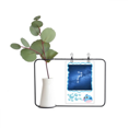 thumbnail image 1 of Una hermosa estrella de la suerte. Jarrones colgantes de vidrio transparente Decoración Botella, 1 of 4