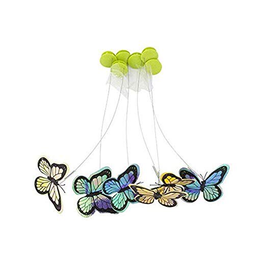 Afp Interactive Flutter Bug Re Fill 6 Pack Cat Toys Cat Interactive Teaser Toys Replacement Walmart Com Walmart Com