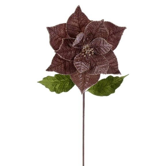 20" Mocha Classic Velvet 12" Flower 4/Bg