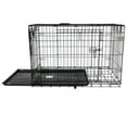 Precision Pet Provalu Dog Crate, 2 Door, Medium, 36"L